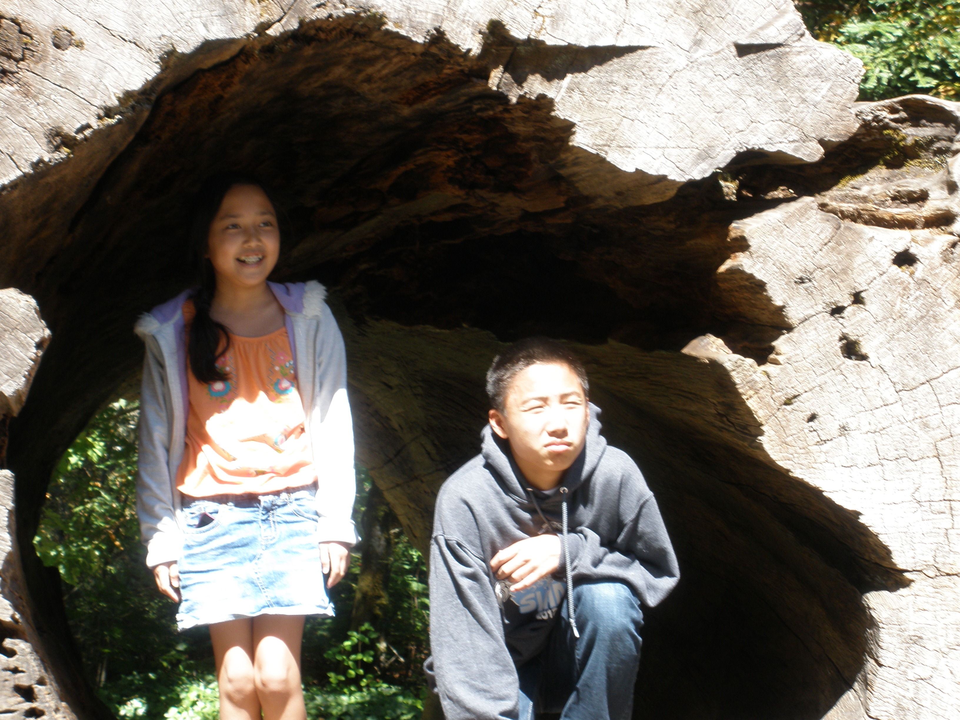 Summer, 2012, with Kara, Andrew and Madeline - Avenue of the Giants - 16